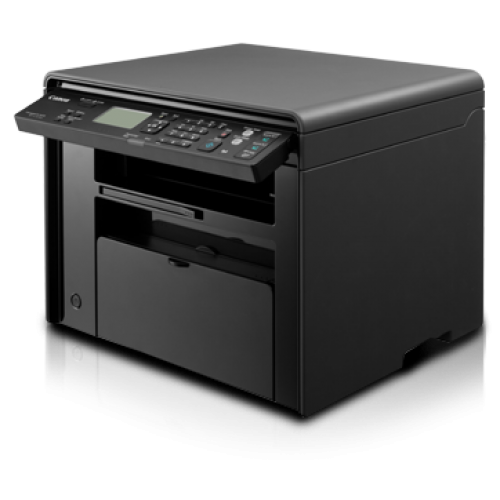 Daisy on the Ohoopee