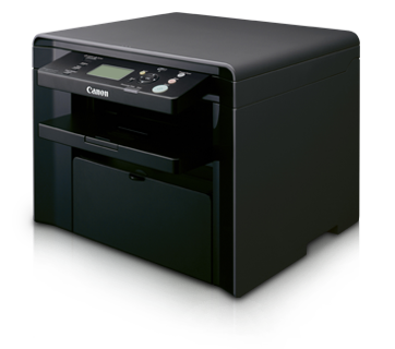 Daisy on the Ohoopee