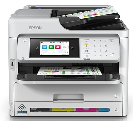 Daisy on the Ohoopee